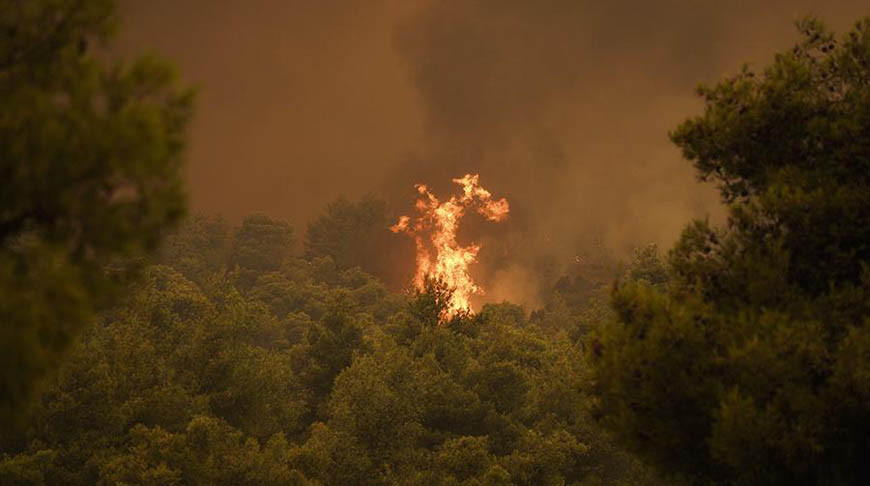 С греческого острова Самос из-за лесных пожаров эвакуировали туристов