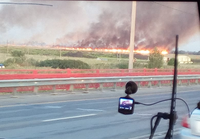 Под Ростовом потушили крупный ландшафтный пожар на площади 5 га
