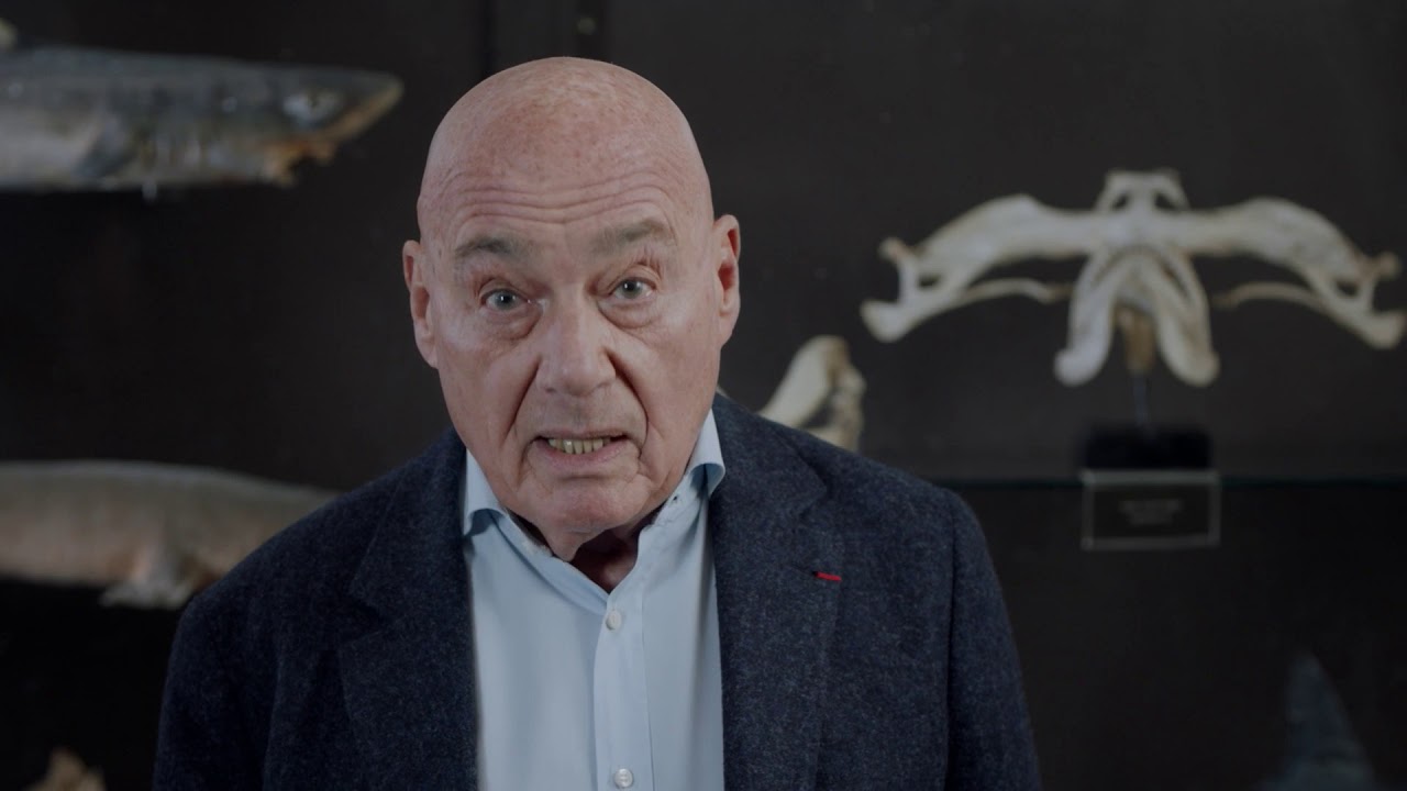 #этонелечится Владимир Познер