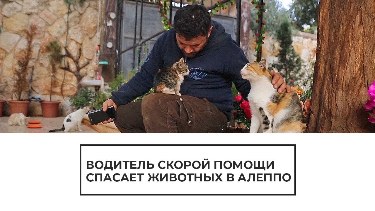 Водитель скорой помощи спасает животных в Алеппо