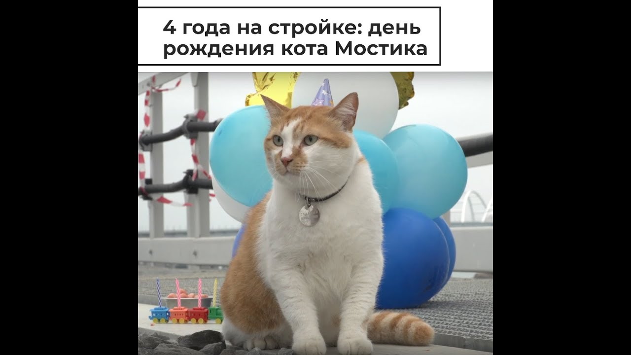 День рождения кота Мостика