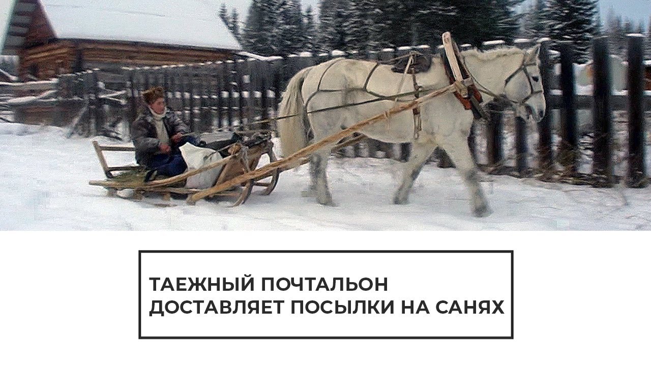 Таежный почтальон доставляет посылки на санях