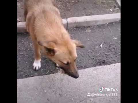 Начинаем день с добра.