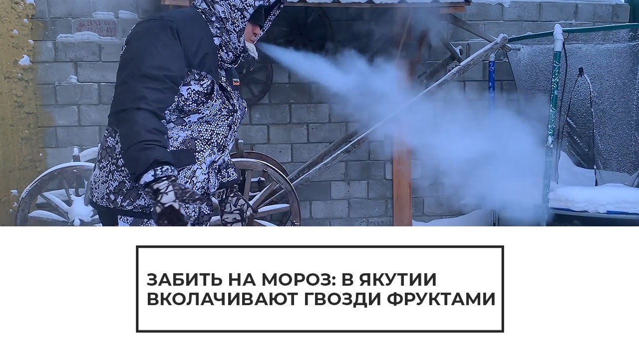 В Якутии вколачивают гвозди фруктами