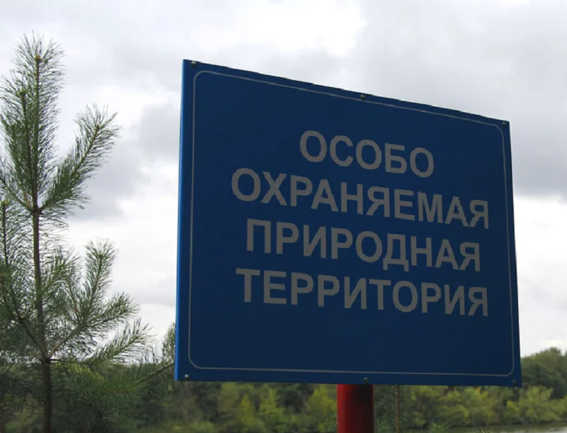 Еще 46 тысяч гектаров под особой охраной: в уходящем году Минэкологии создало четыре ООПТ