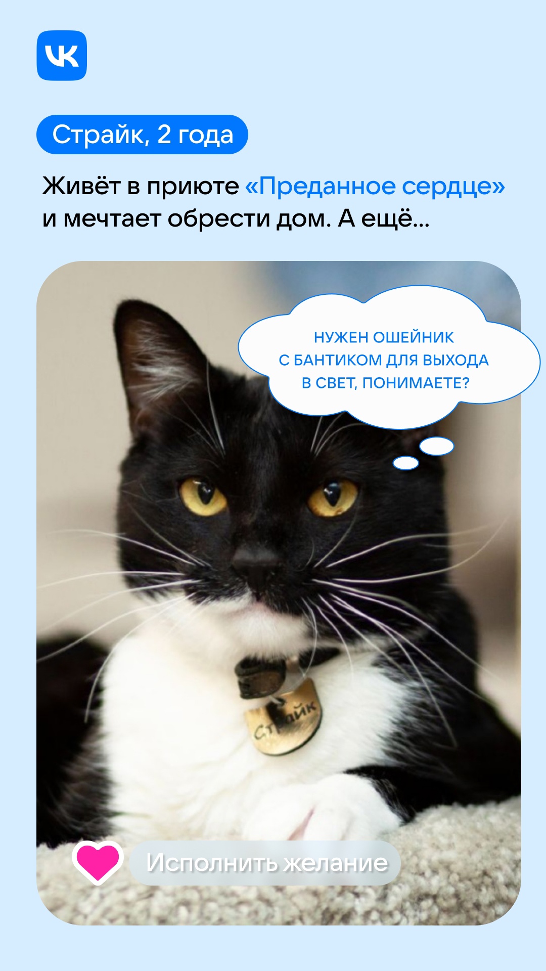 Продолжаем праздновать Универсальный…